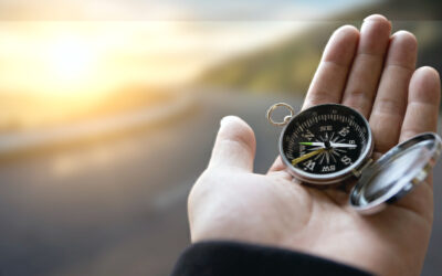 How to Successfully Change Careers for Late Bloomers